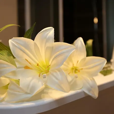 Apartment By The Sea Klek, Neretva Delta - Usce Neretve - 10031 Klek